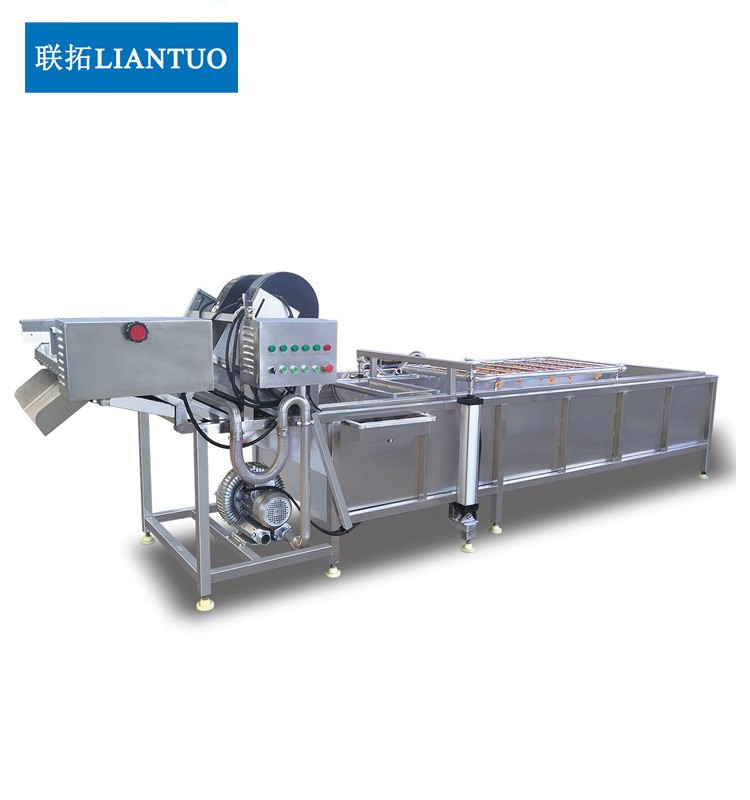 果蔬清洗机商用全自动果蔬气泡清洗机不锈钢果蔬气泡清洗机图4