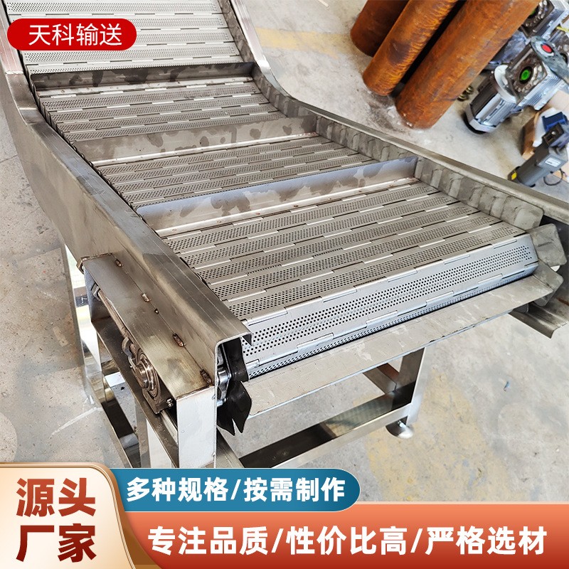 链板提升机厂家直供 小型电动斗式上料机流水线 链板式爬坡提升机图4