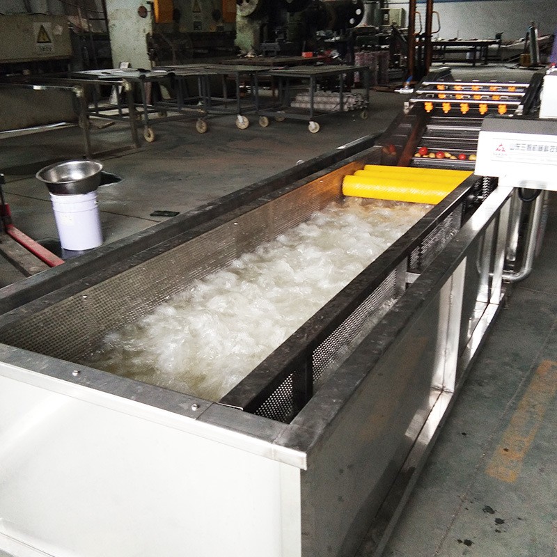 果蔬清洗机 商用水果蔬菜清机 高压喷淋式蓝莓清洗机清洗设备图4