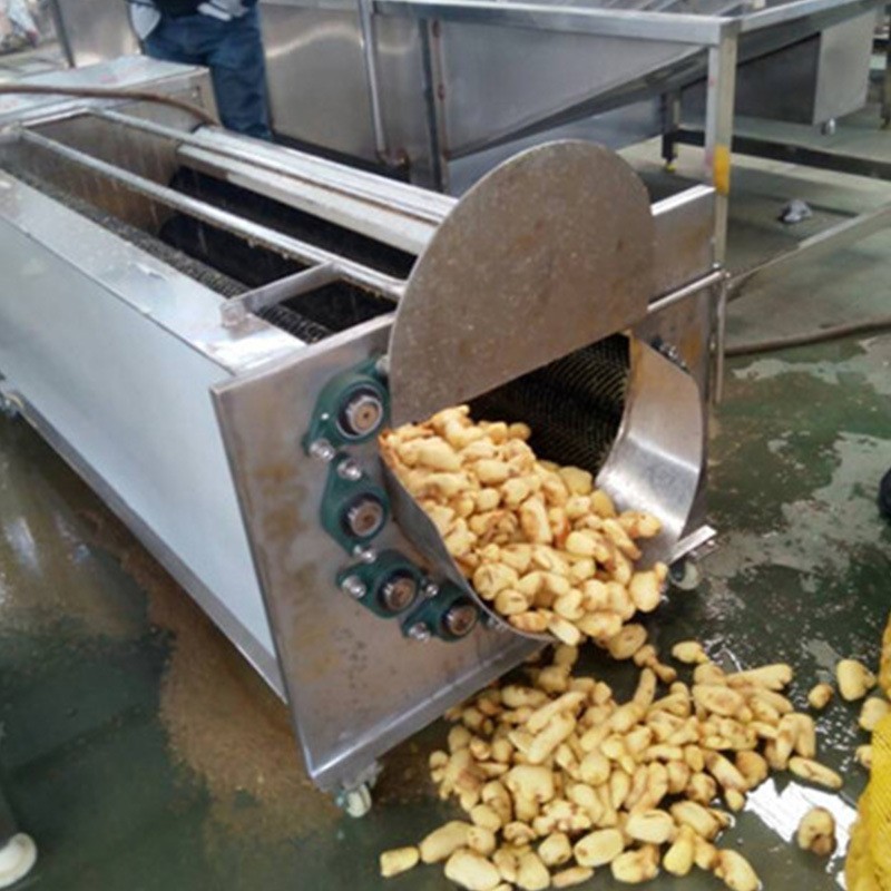 毛辊清洗机 海蛎子清洗去泥机 土豆根茎类果蔬去皮清洗机厂家直销图4