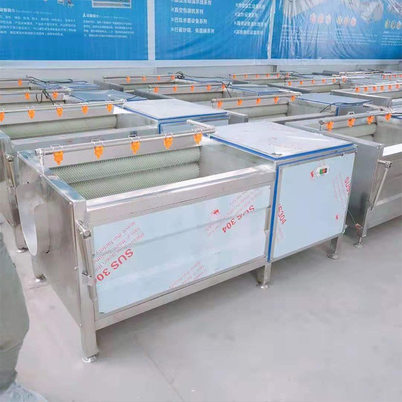 毛辊清洗机 海蛎子清洗去泥机 土豆根茎类果蔬去皮清洗机厂家直销