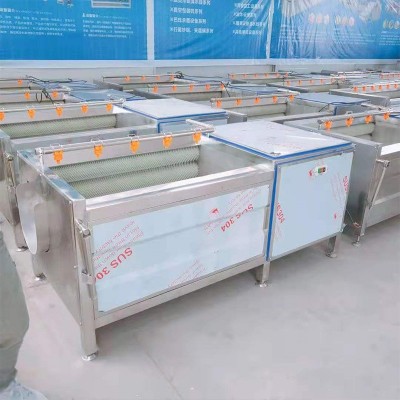 毛辊清洗机 海蛎子清洗去泥机 土豆根茎类果蔬去皮清洗机厂家直销