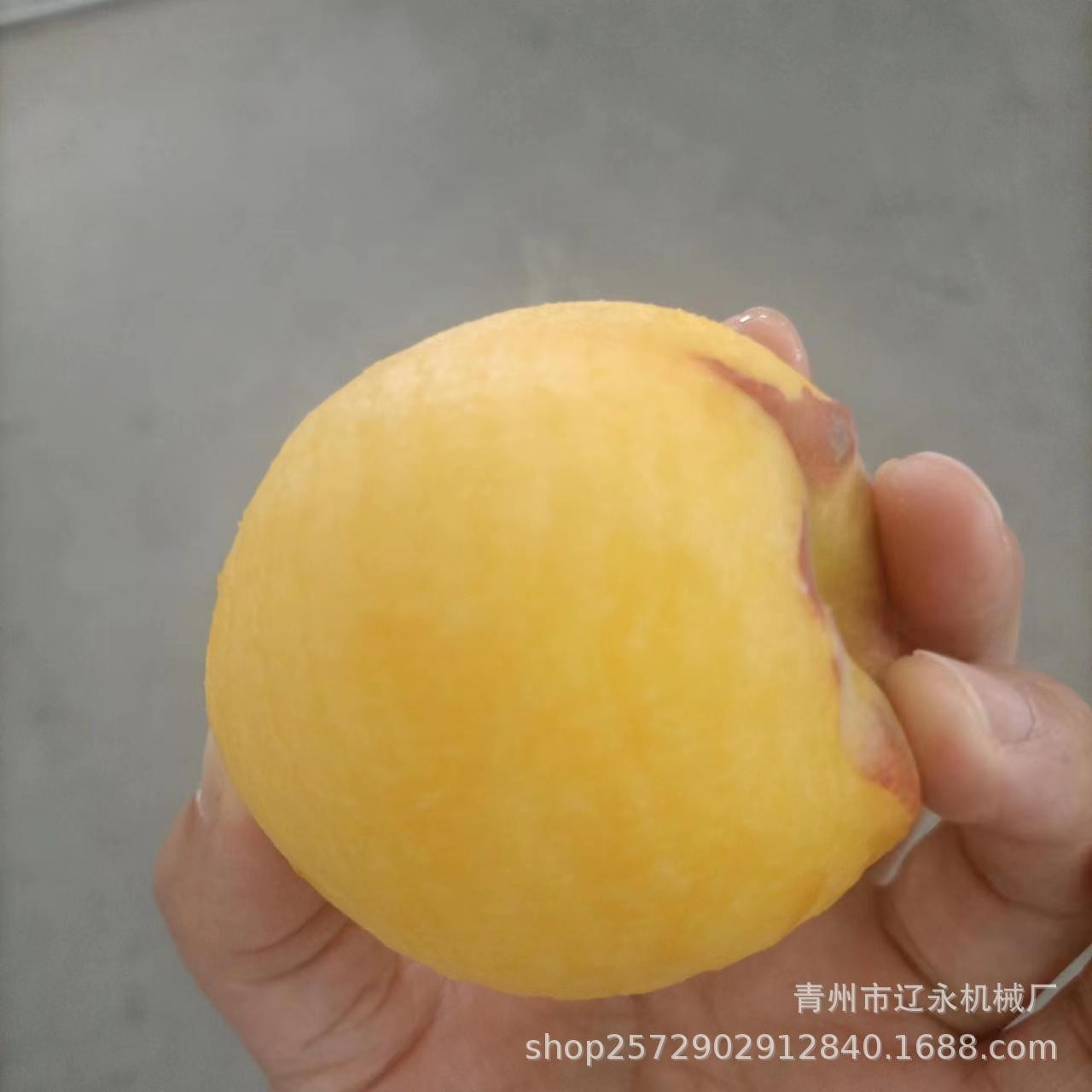 全自动双工位黄桃削皮机果蔬去皮机猕猴桃柠檬削皮机图2