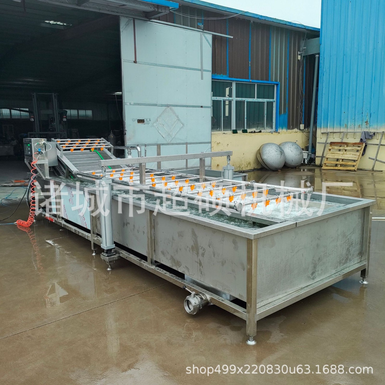 果蔬清洗机 甲鱼清洗机 海鲜清洗机 气泡和喷淋结合 气泡清洗机图4