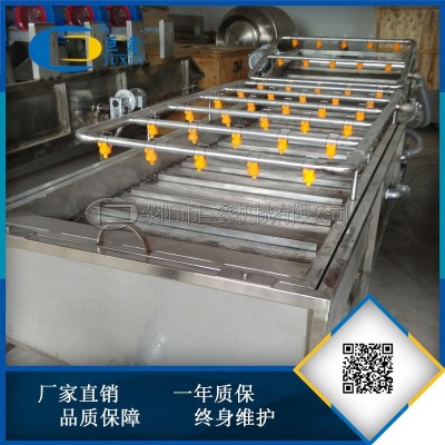 全自动水果蔬菜清洗机 不锈钢喷淋气泡清洗机定制