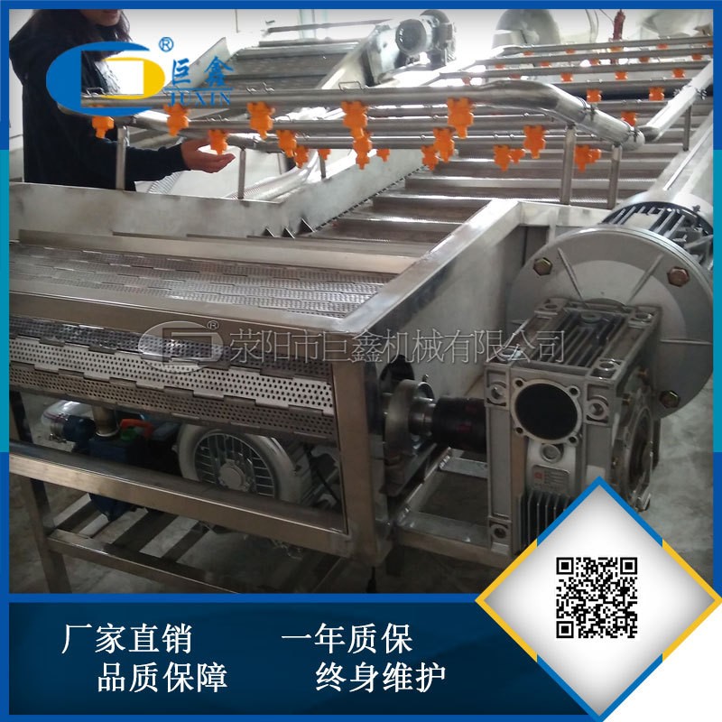 全自动水果蔬菜清洗机 不锈钢喷淋气泡清洗机定制图3