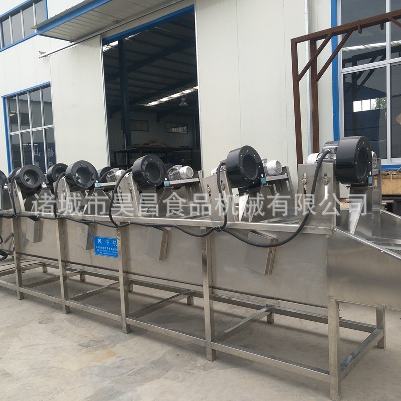 果蔬清洗生产线商用爆款热卖蔬菜苹果气泡冲浪昊昌旋流节水清洗机图2