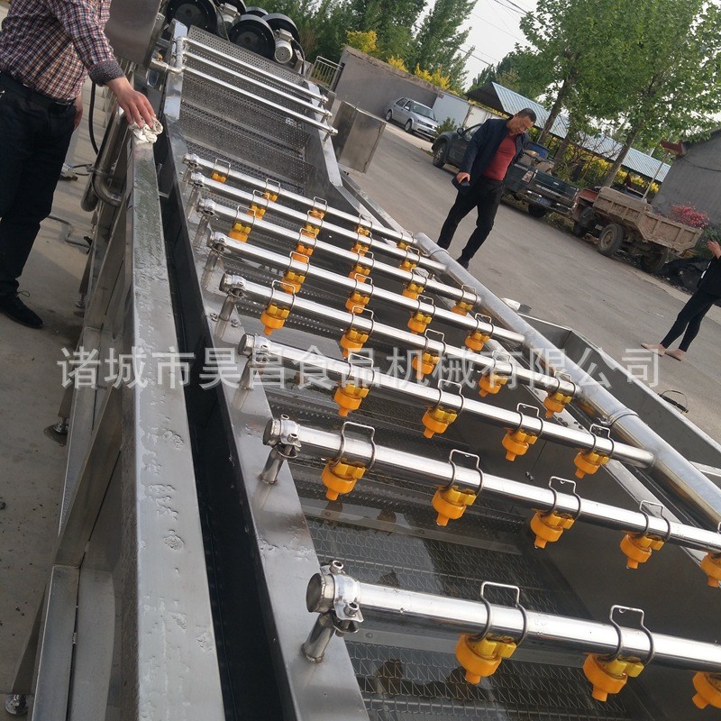 果蔬清洗生产线商用爆款热卖蔬菜苹果气泡冲浪昊昌旋流节水清洗机图5