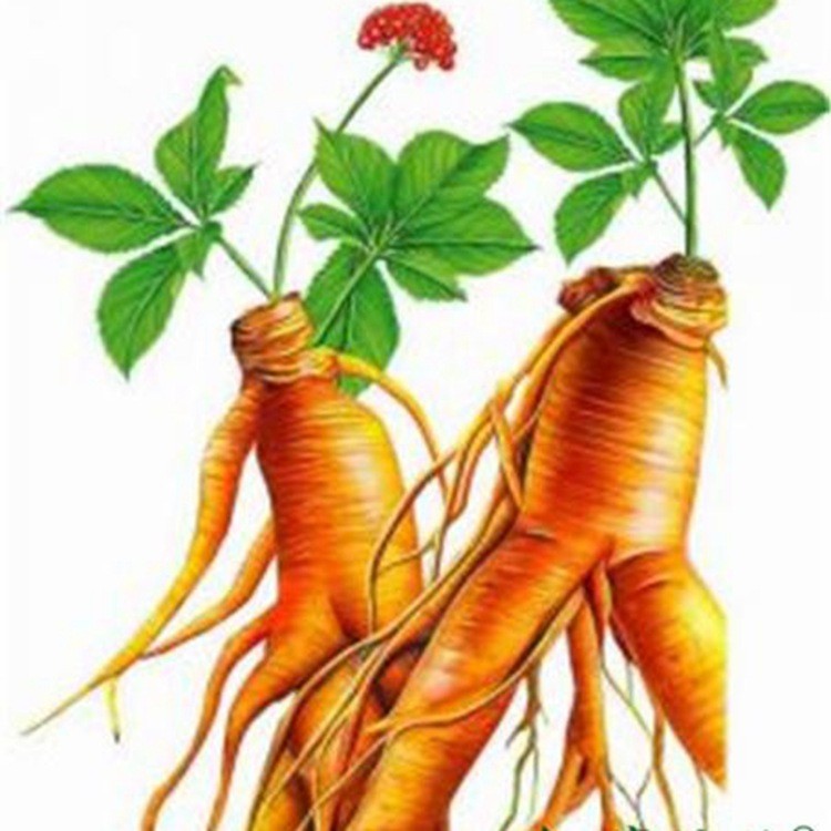 滚筒清洗机昊昌新品滚动高压冲洗自动循序出料爆款包装袋药材清洗图5