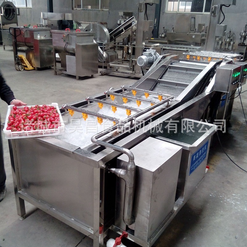 果蔬清洗机 热卖高压喷淋式气泡冲浪 昊昌多功能商用旋流蔬菜清洗图4