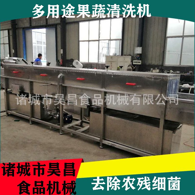 果蔬清洗机 热卖高压喷淋式气泡冲浪 昊昌多功能商用旋流蔬菜清洗图2