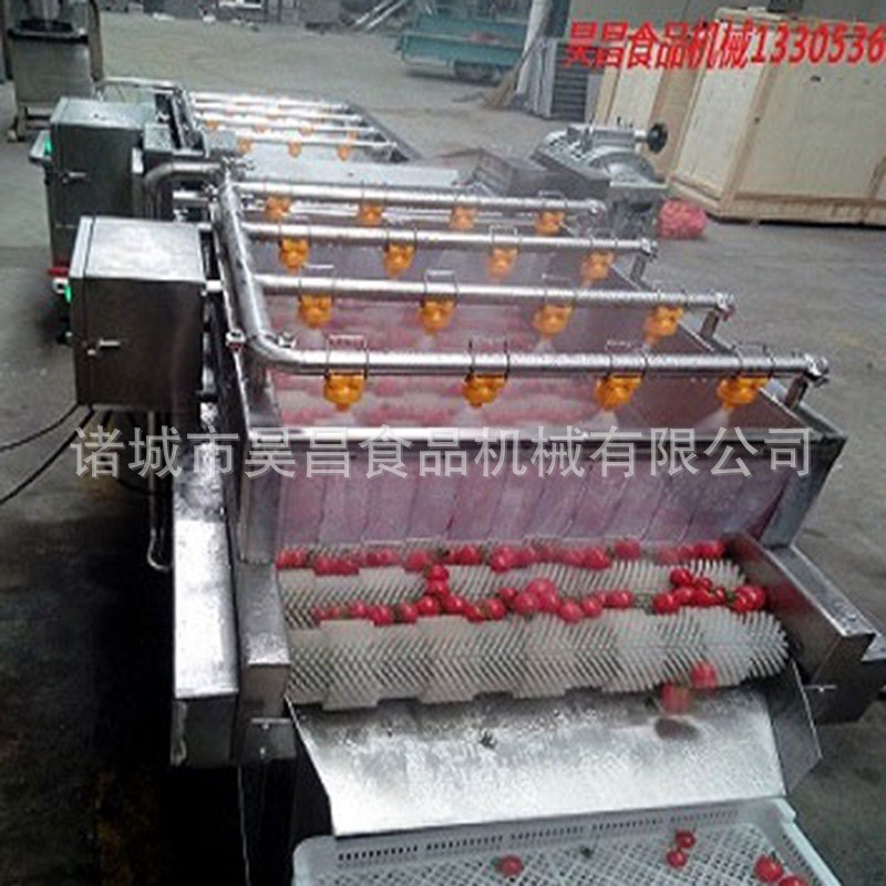 果蔬清洗机 热卖高压喷淋式气泡冲浪 昊昌多功能商用旋流蔬菜清洗