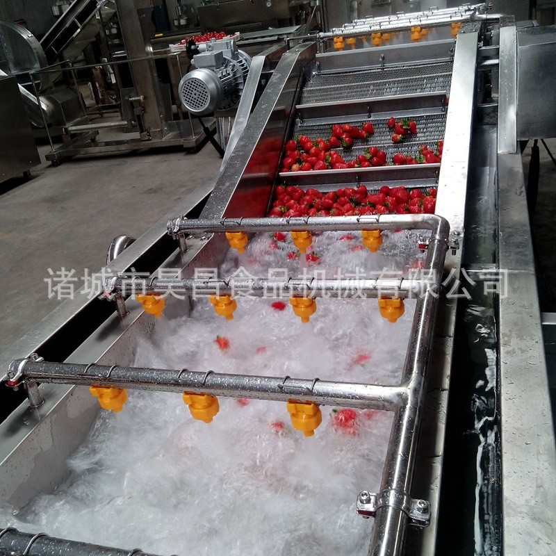 果蔬清洗机 热卖高压喷淋式气泡冲浪 昊昌多功能商用旋流蔬菜清洗图3