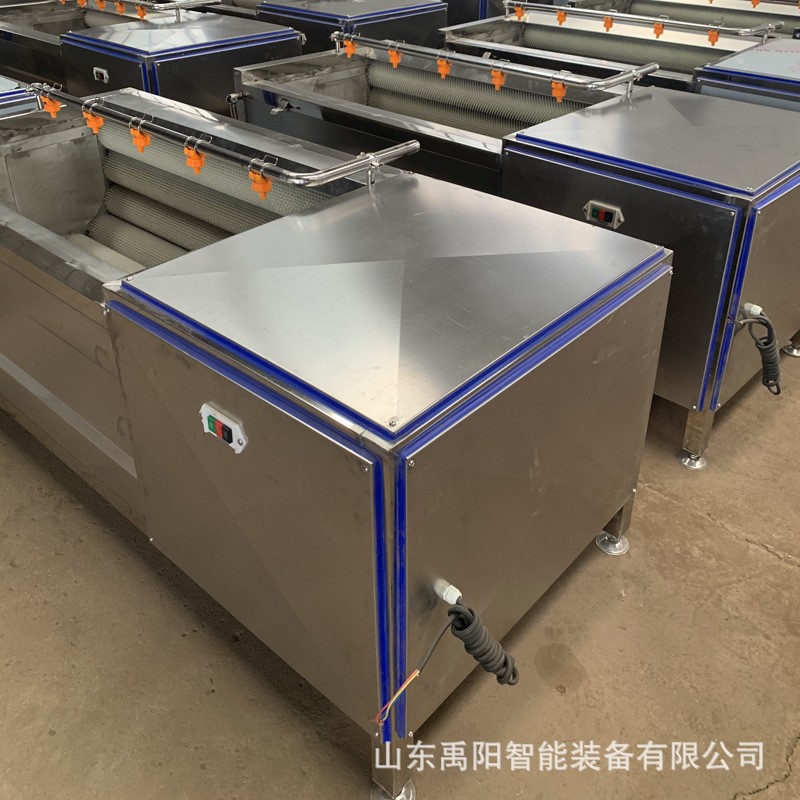 芋头毛辊去皮清洗机 荔浦芋头毛辊去皮祛泥清洗机 厂家现货供应图2