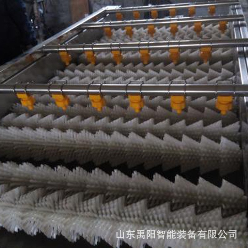 现货土豆去皮毛辊清洗机 猪蹄羊蹄清洗机 芋头中药材毛辊清洗机图4