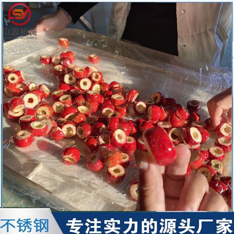 冻干冰糖葫芦裹糖机 全自动上糖浆机设备 嘎嘣脆空心山楂上糖机图3