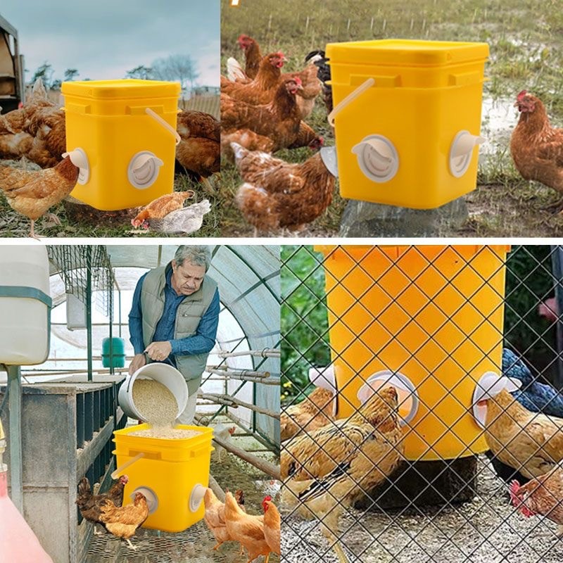 鸡用喂料器家禽自动喂食器鸡料筒鸡用饲料桶鸡用喂料桶禽类喂料口图5
