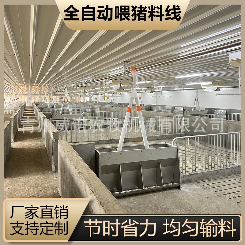猪场全自动料线 养猪喂料设备 猪场养殖设备 塞盘绞龙料塔配件料图4