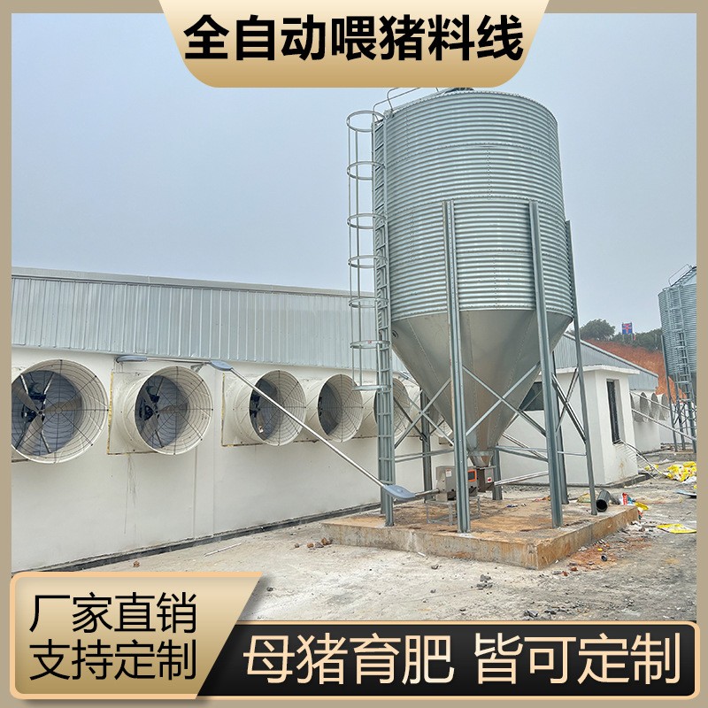 猪场全自动料线 养猪喂料设备 猪场养殖设备 塞盘绞龙料塔配件料图2