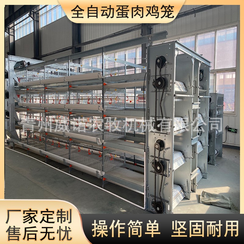 大层叠蛋鸡笼养鸡设备加密加粗全自动化养殖笼具热镀锌蛋鸡笼图5