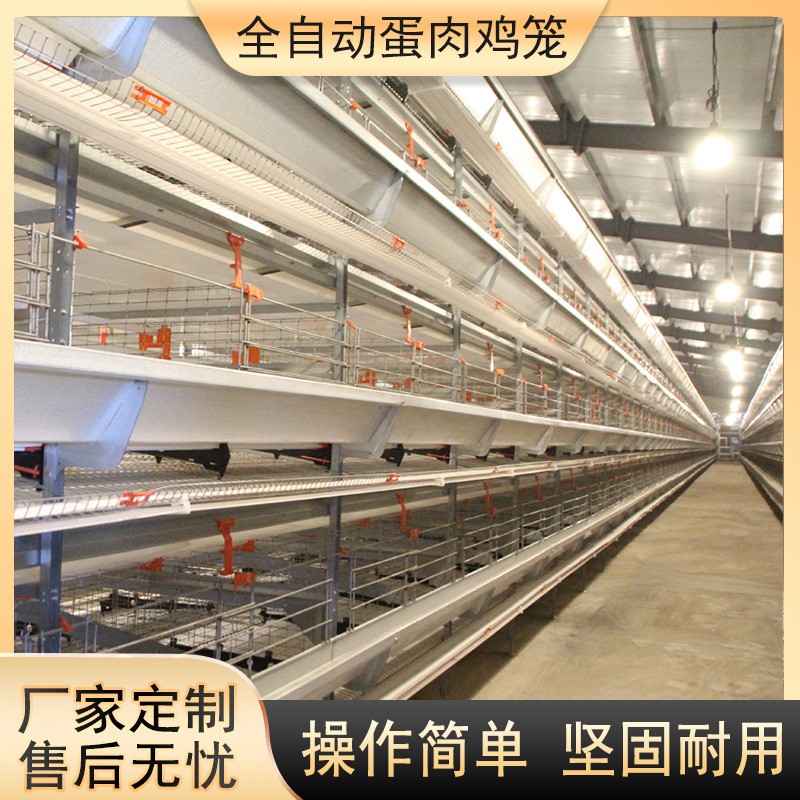 大层叠蛋鸡笼养鸡设备加密加粗全自动化养殖笼具热镀锌蛋鸡笼图3