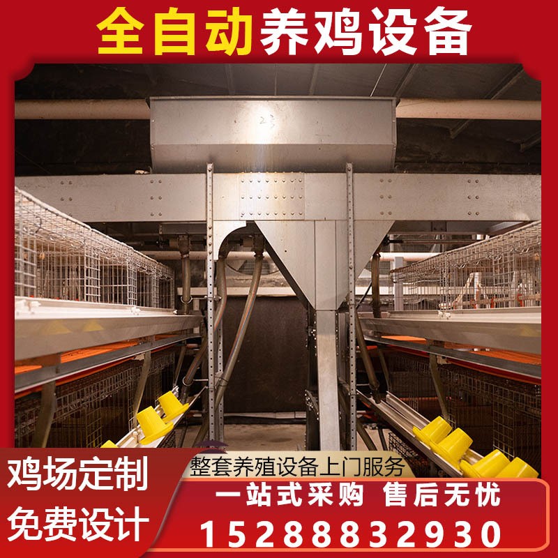 肉蛋鸡笼公鸡笼 育雏笼养鸡 笼具蛋鸡养殖设备 鸡舍自动化设备图4