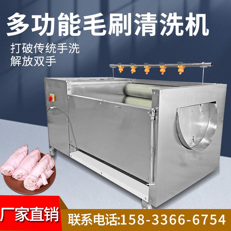 猪蹄清洗机毛驴猪头羊头去毛羊蹄多功能清洁材清洗机商用大容量