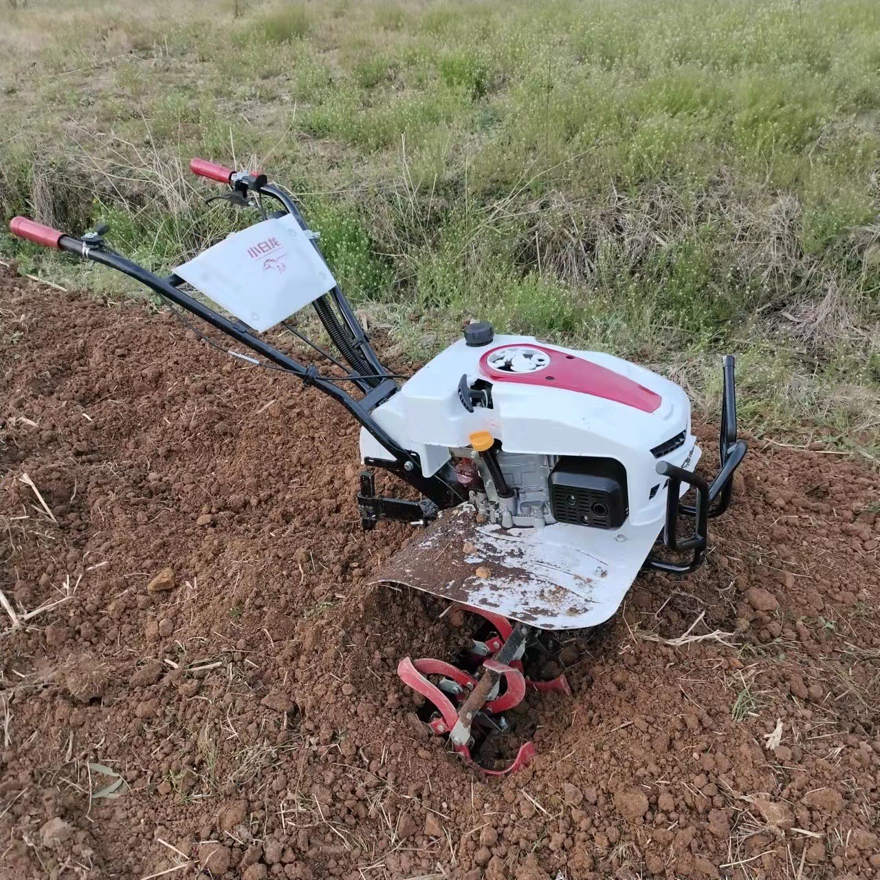 小白龙微耕机水旱两用旋耕机汽油小型耕地机家用犁地翻土机打田机图4
