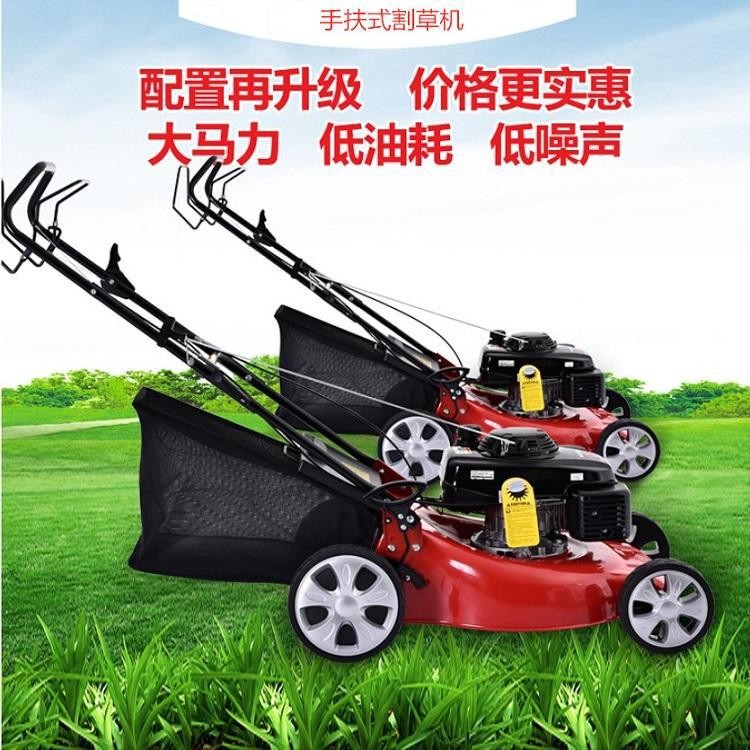 四冲程汽油草坪机割草机除草机手推式草坪修剪机剪草机厂家批发图2