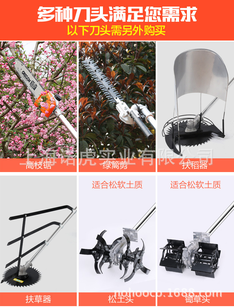 4298130742_1178545945