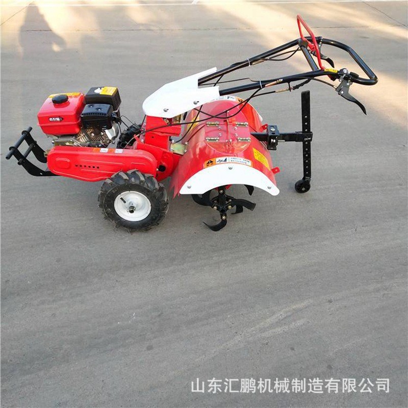 手推式小型松土机 170两驱多功能微耕机 汽油旋耕机双链条图4