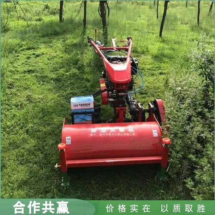 农用开荒种植碎草机 汽油柴油动力除草机 手扶自走式前置灭草机图2