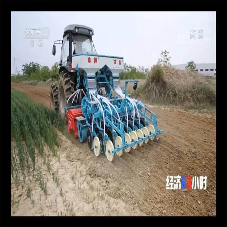 蔬菜播种机 出苗均匀 农用种子点播机 油菜花生谷物精细播种图3