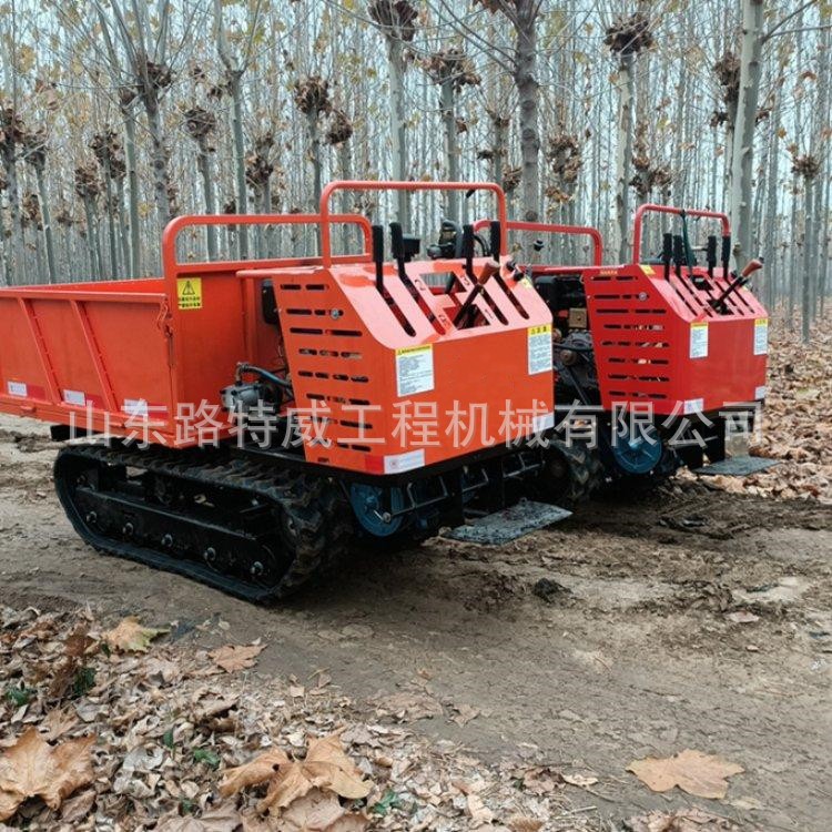 小型履带运输车 全地形液压自卸车工程农用履带运输车爬山虎图4