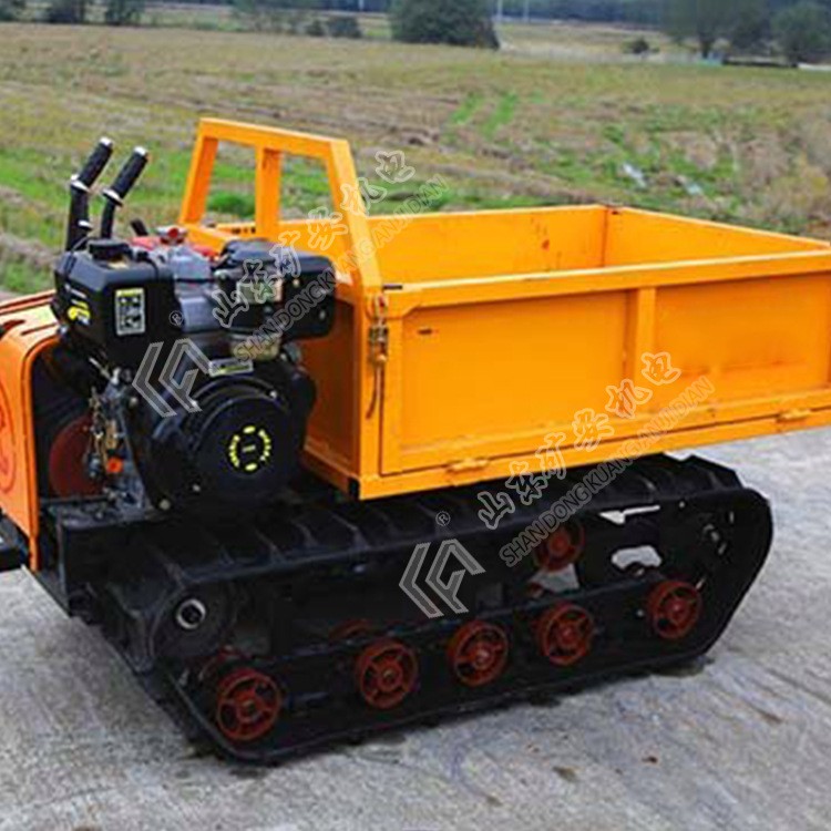 服务周到履带式运输车 牵引力大带式运输车图3