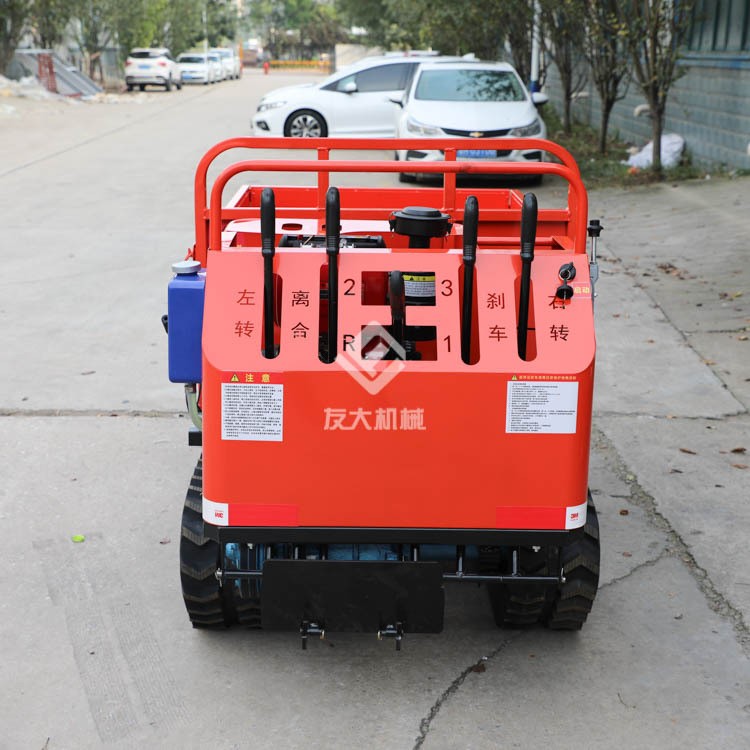 丘陵运输车 爬山王 草原运输车 履带四驱四不像车 运输四驱车图2