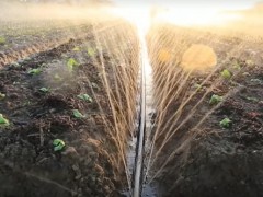 德国农业有多发达？一天埋150亩的灌溉水管，设备真先进