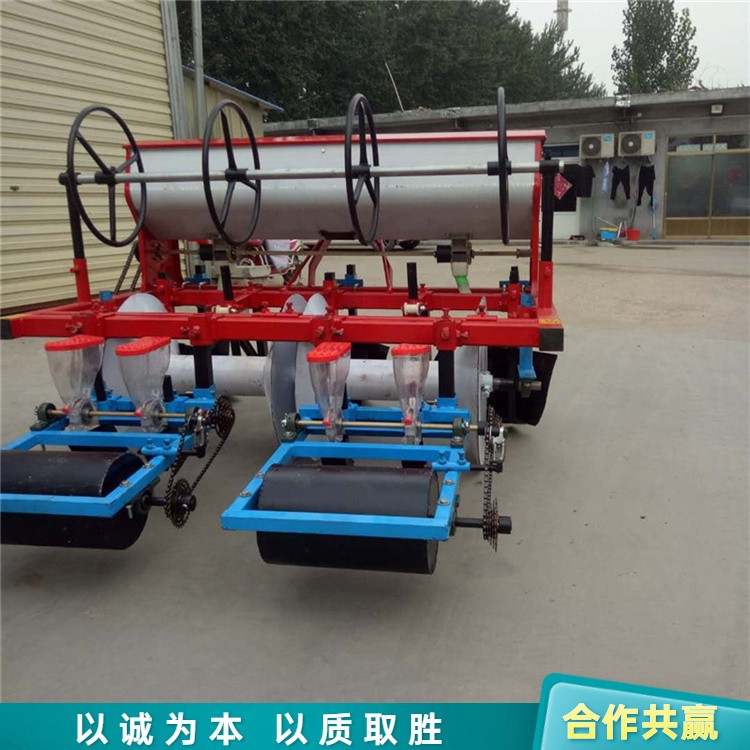 洋葱大葱旋耕播种机 胡萝卜两垄四行点播机 大白菜娃娃菜精播机图4