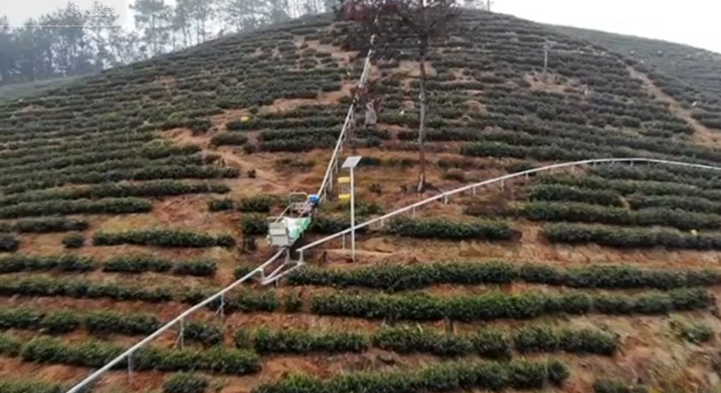 电动单轨运输车 平地单轨运输机 轨道果园运输 轨道运机械图5