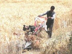 西藏谢通门县拉嘎村用上了“小型农机”