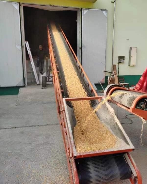 粮食皮带输送机 移动式伸缩输送 装车卸货 物流搬捡图3