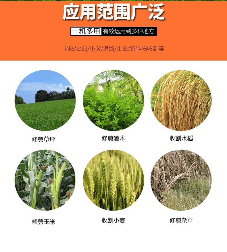 强力推荐40F-5款优质侧挂式割灌机,草坪机 水稻玉米收割机割草机图2