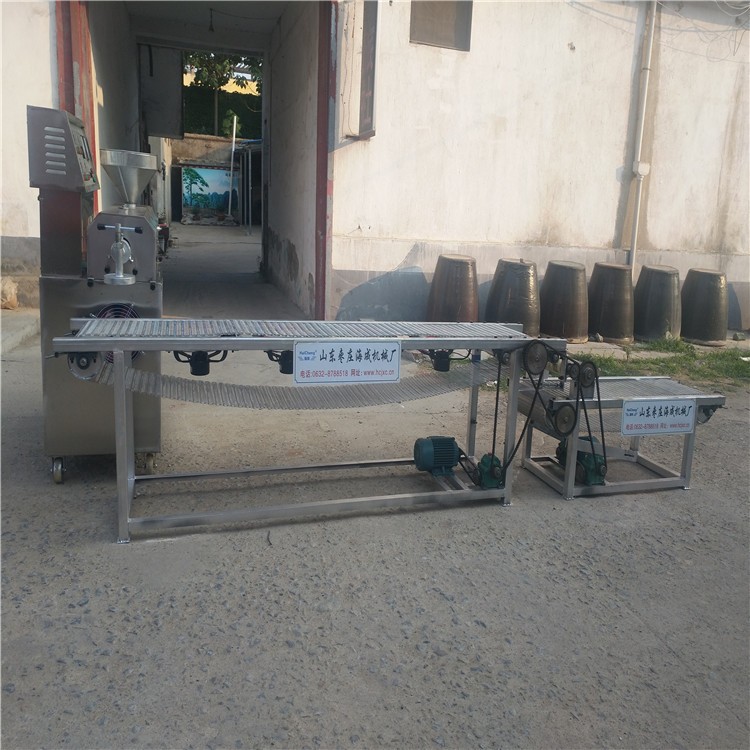 电汽两用红薯粉条粉丝机 干兰片挤出机 一次成型红薯粉丝粉条机图4