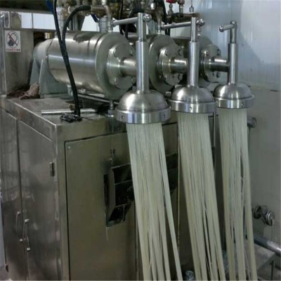 电汽两用红薯粉条粉丝机 干兰片挤出机 一次成型红薯粉丝粉条机