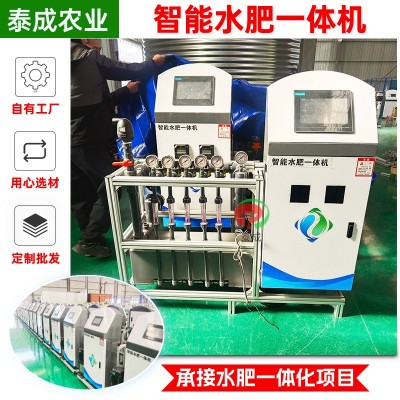 蓝莓草莓精准施肥机 高标准农田远程灌溉 10寸屏三通道水 肥一体机