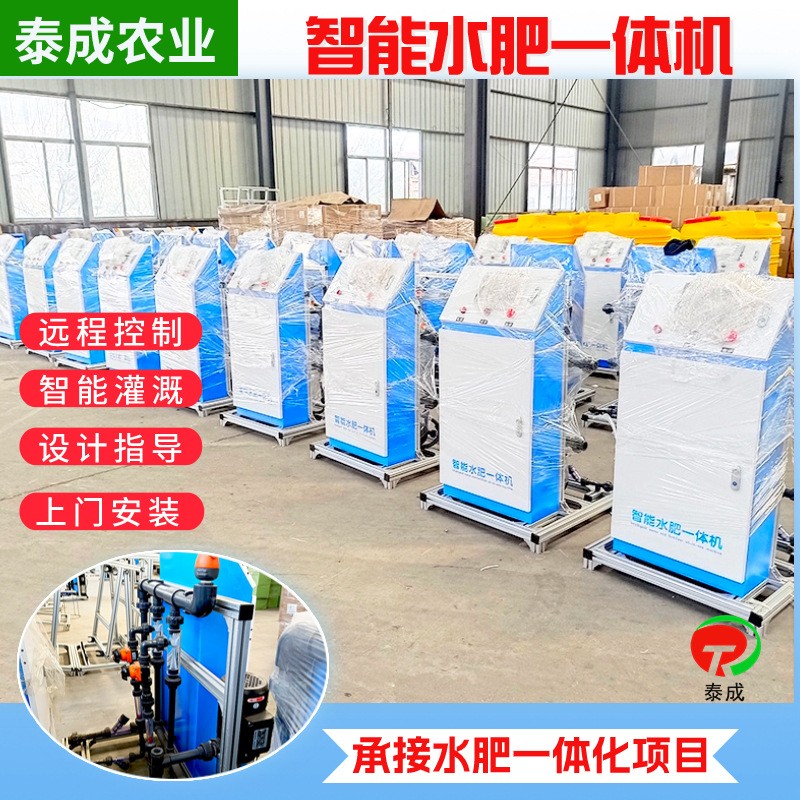 水肥一体化智能施肥机 农业大棚滴灌果园施肥 多通道水 肥一体机图4