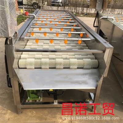 柚子毛辊清洗去杂机 马铃薯清洗去皮设备 洋芋平行清洗生产线