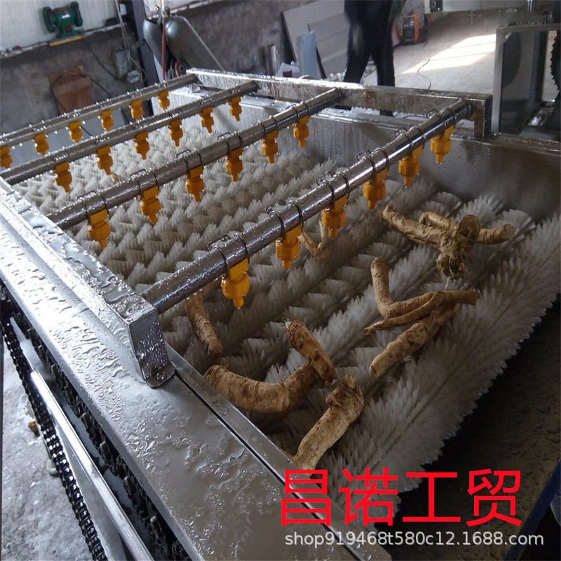 柚子毛辊清洗去杂机 马铃薯清洗去皮设备 洋芋平行清洗生产线图5