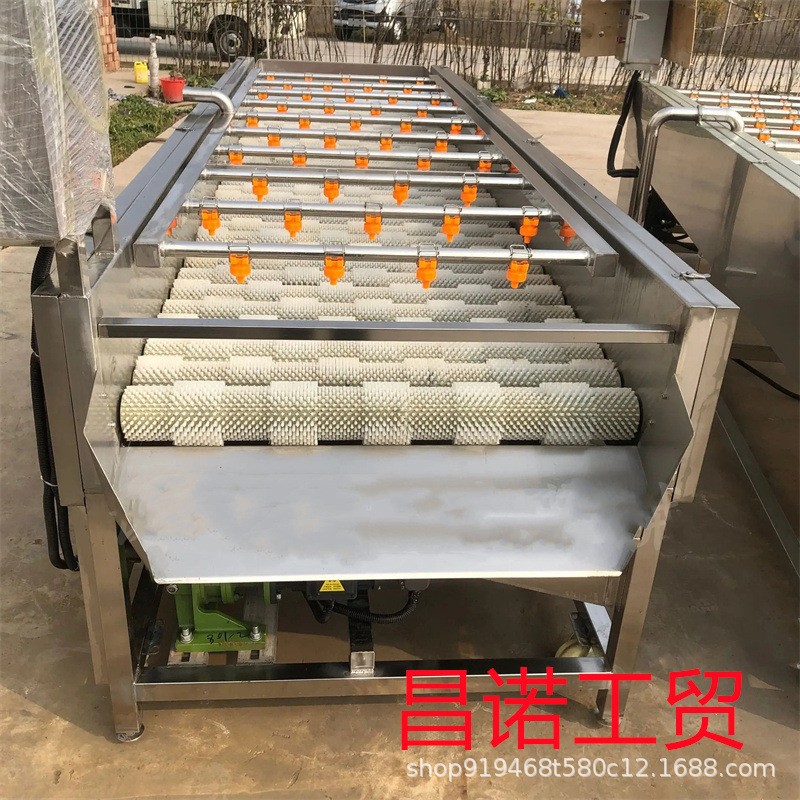 柚子毛辊清洗去杂机 马铃薯清洗去皮设备 洋芋平行清洗生产线图3