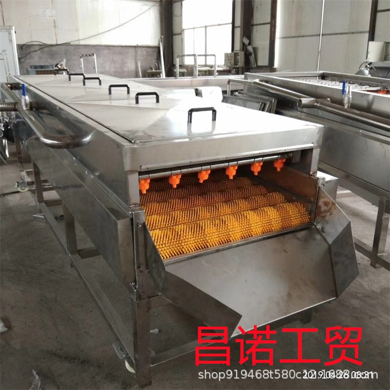 柚子毛辊清洗去杂机 马铃薯清洗去皮设备 洋芋平行清洗生产线图4